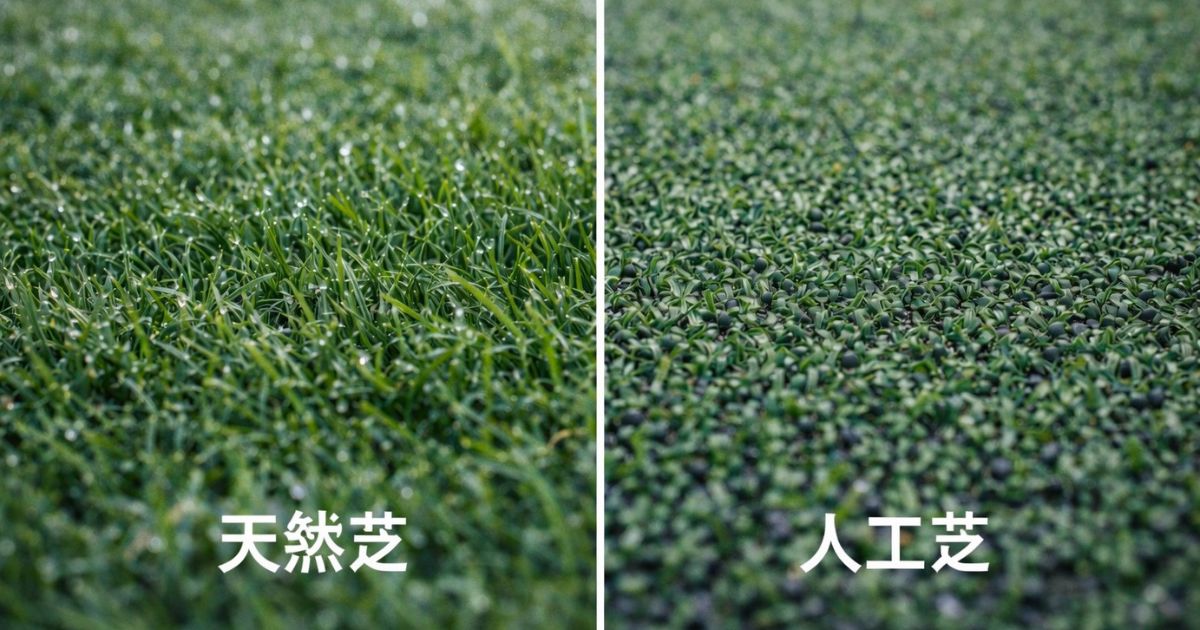 芝生と人工芝の違いを先に知ろう