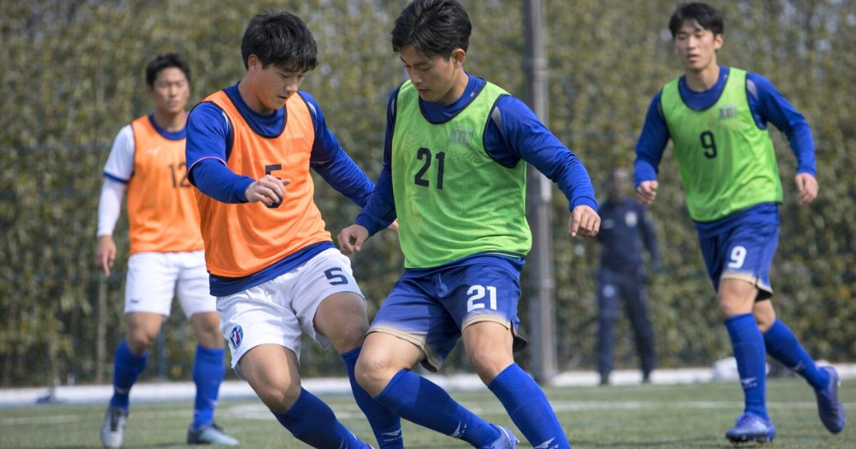 練習会からみる入部方法