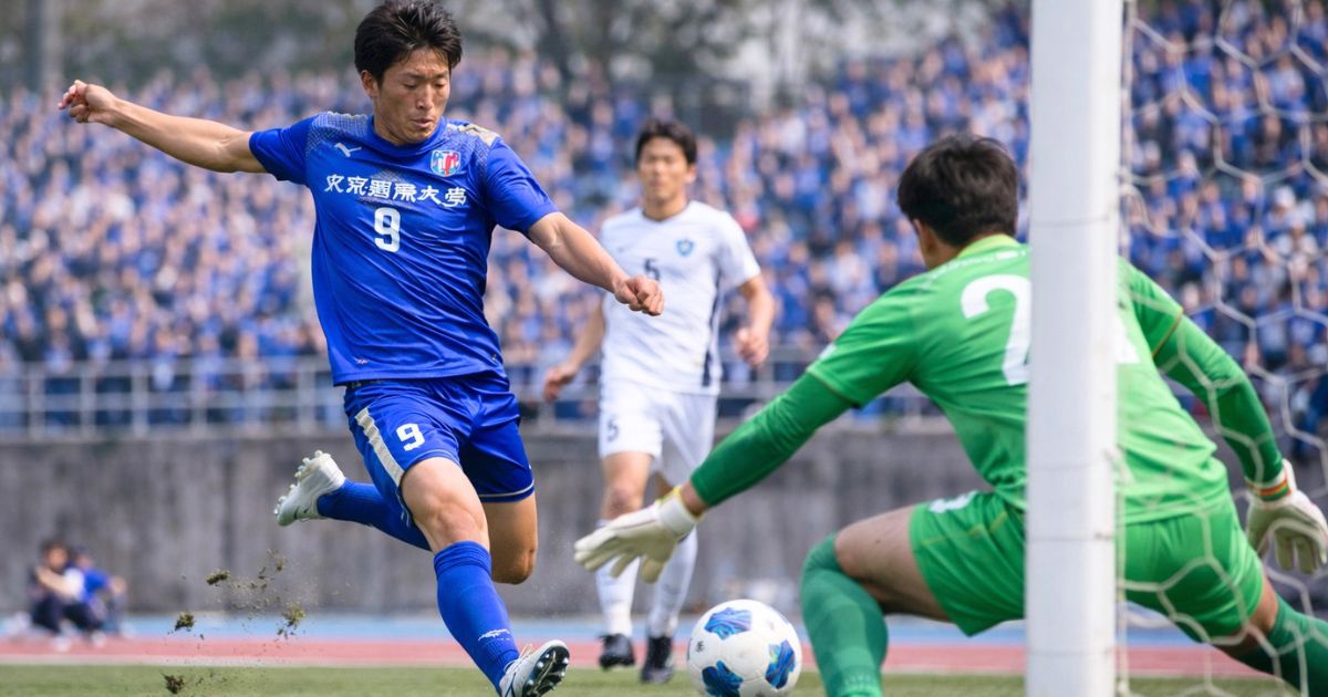 強いと言われる理由