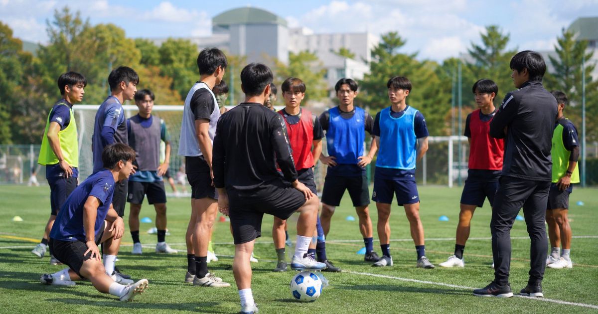 選手の出身校傾向とレベル感
