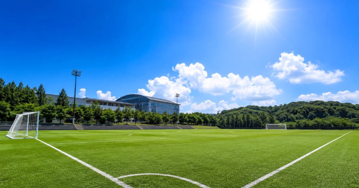 夏の強い日差しが照りつける大学サッカーグラウンドの風景